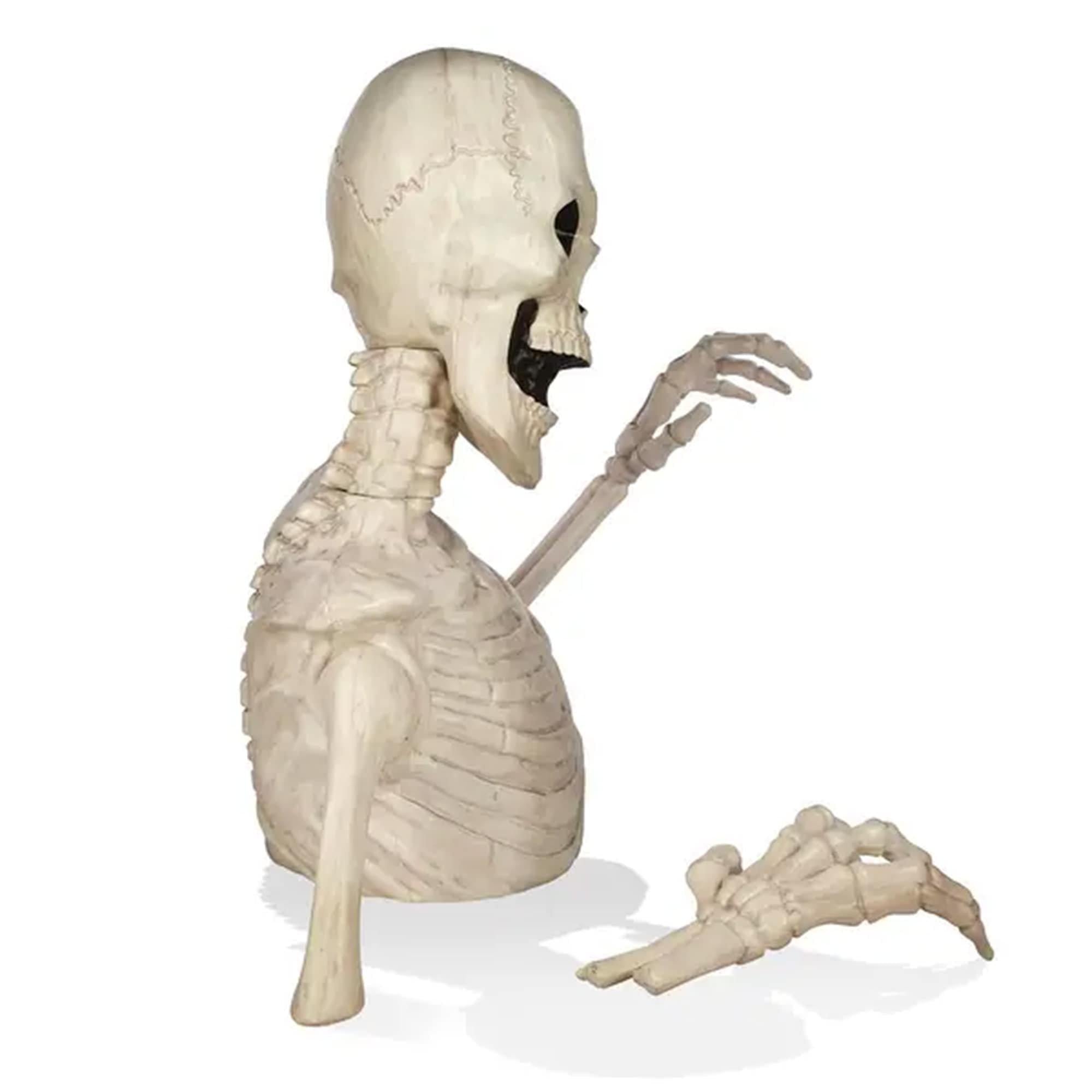 Rattles the Groundbreaking Skeleton Plastic Yard Decorating Kit. 4ft - Image 2