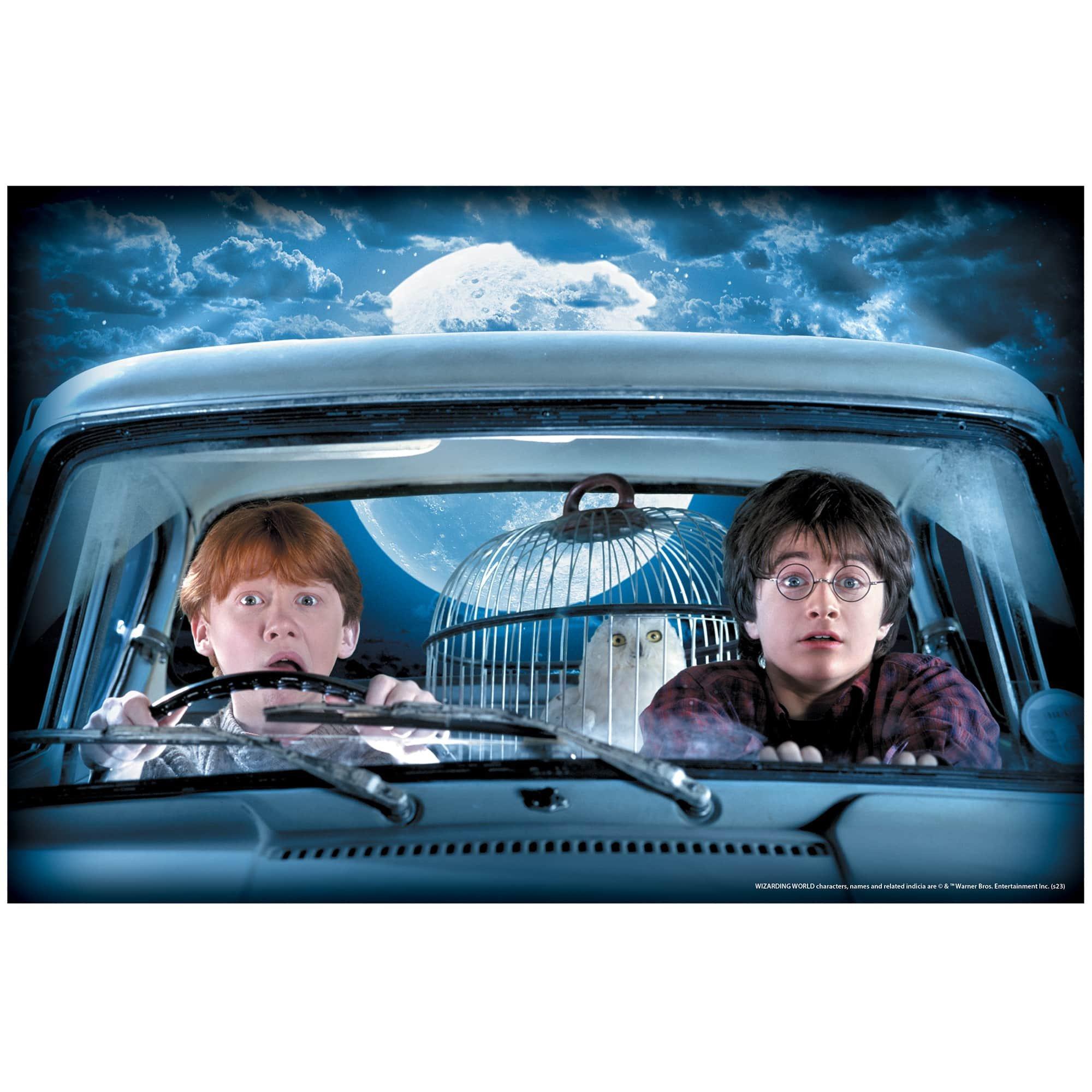 36-inch Harry Potter and Ron Weasley Window Cover Decoration - Image 3