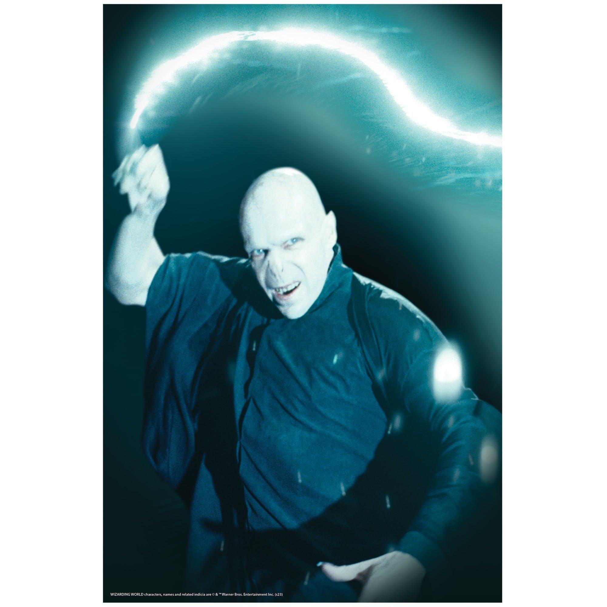 36-inch Harry Potter Voldemort Window Cover Decoration - Image 3