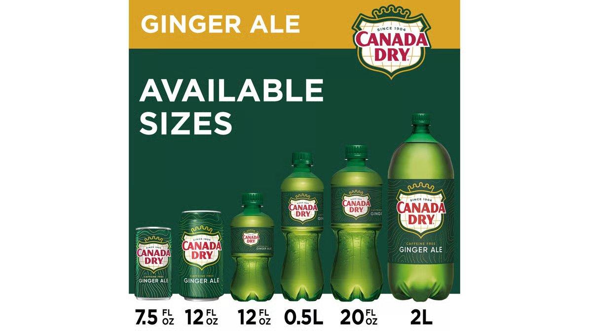 Canada Dry Ginger Ale (2 L) - Image 3