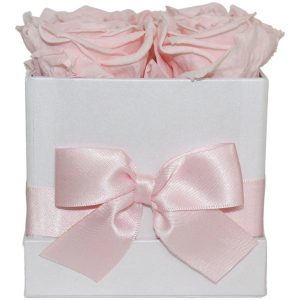 Pink Champagne Preserved Roses Gift Box (4 ct)