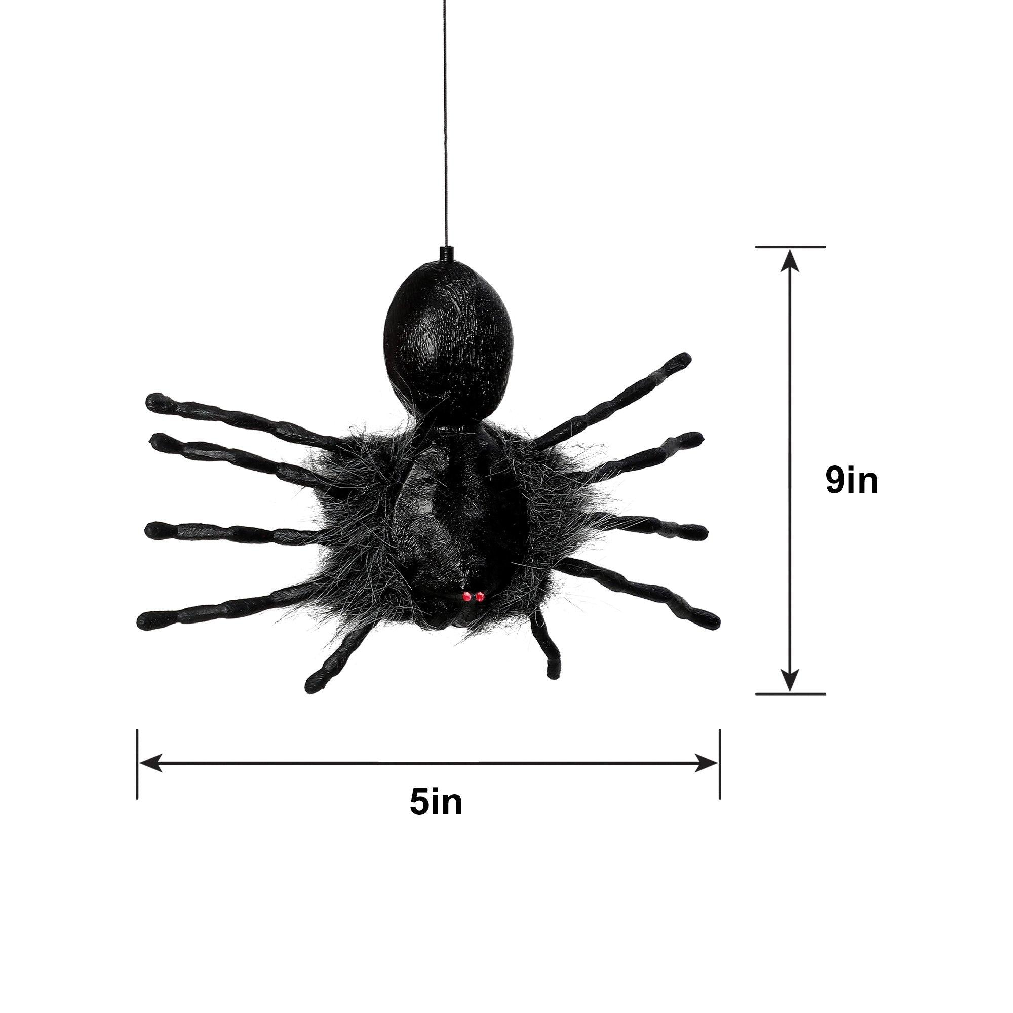 Creepy Dropping Spider - Image 6