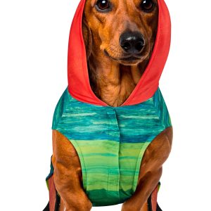 Very Hungry Caterpillar Pet Costume