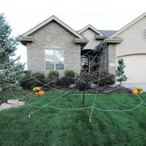 Spider Web Yard Decoration