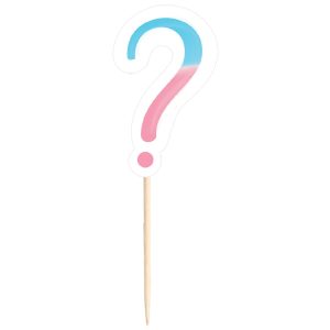 Pink & Blue Question Mark Party Picks. 24ct - Gender Reveal