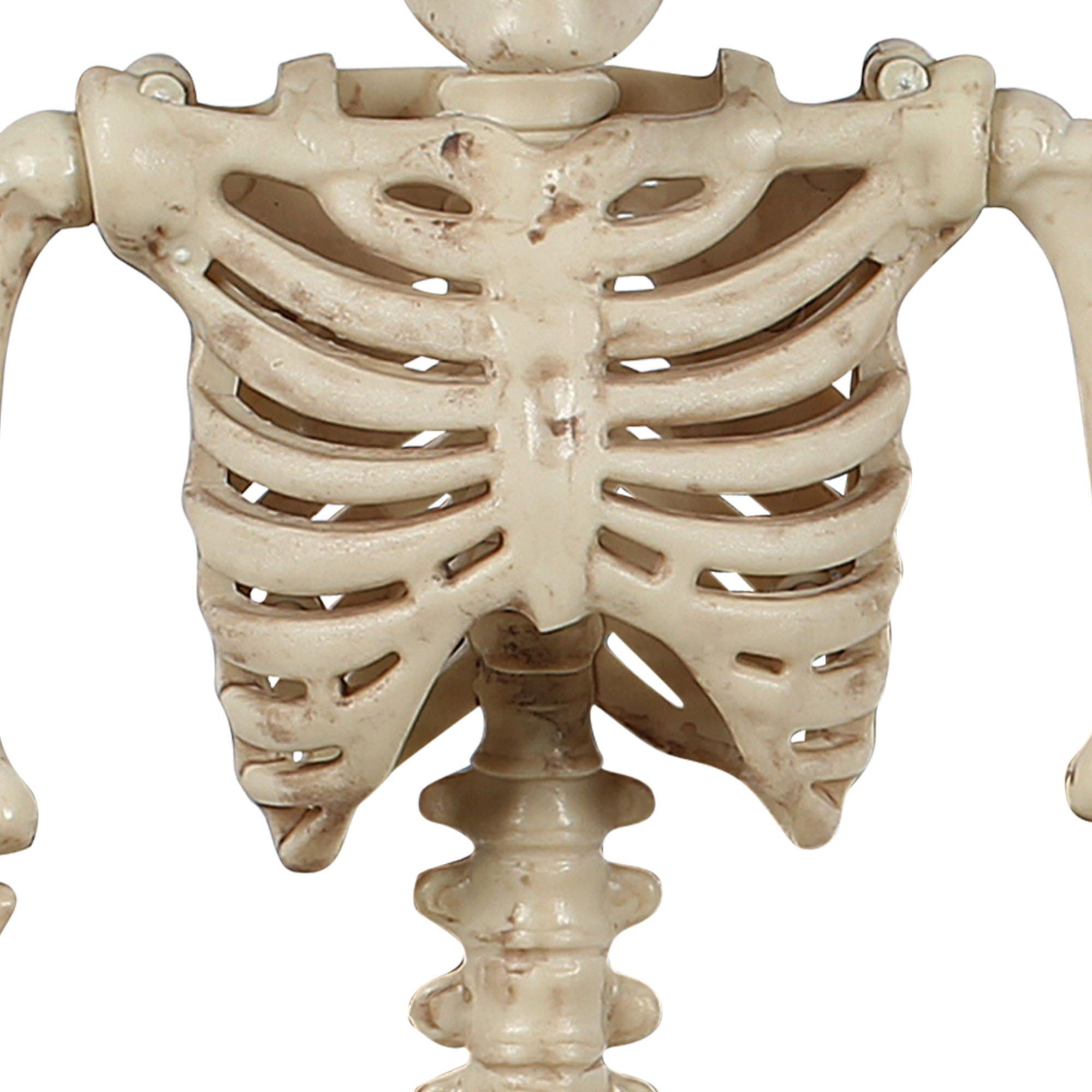 Miniature Realistic Hanging Skeleton. 16in - Image 4
