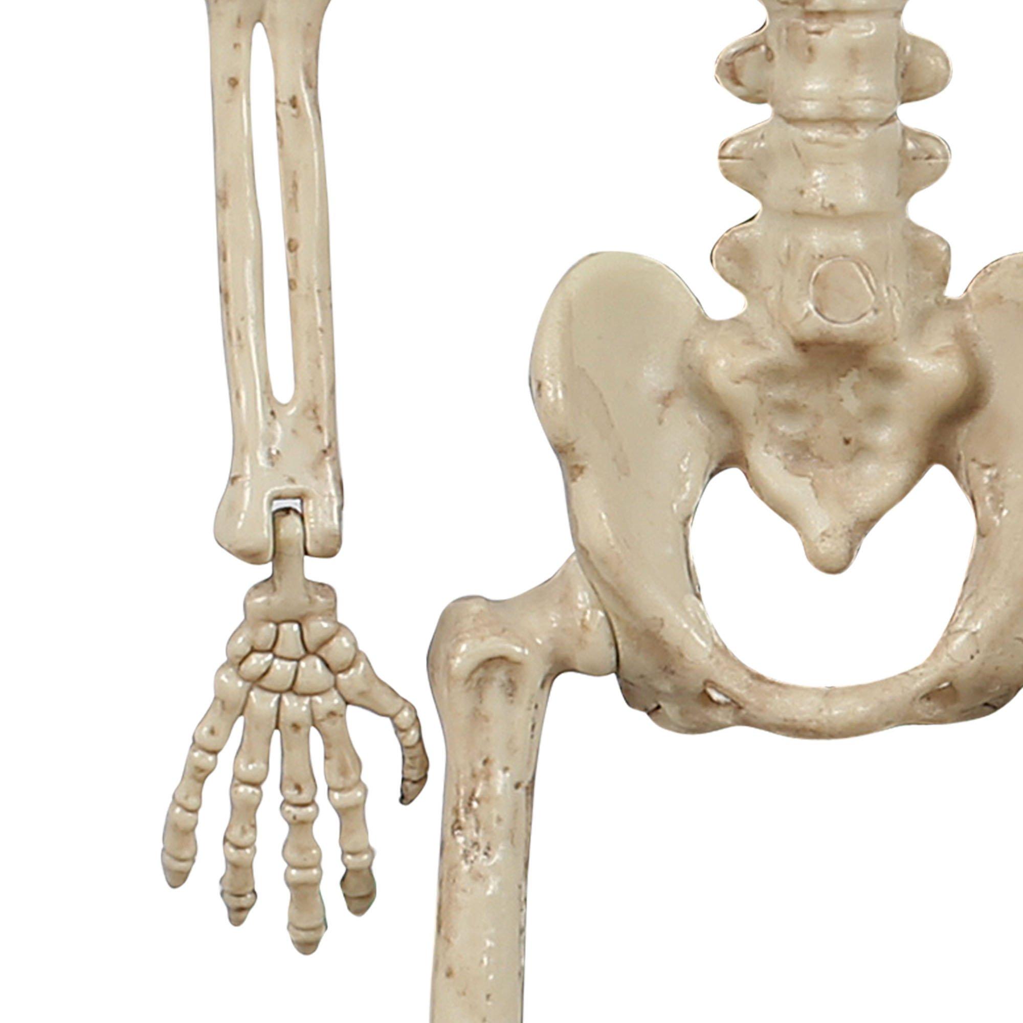 Miniature Realistic Hanging Skeleton. 16in - Image 5