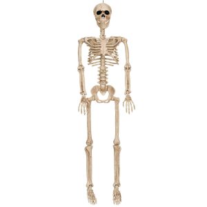 Realistic Hanging Skeleton. 3ft - Halloween Decoration
