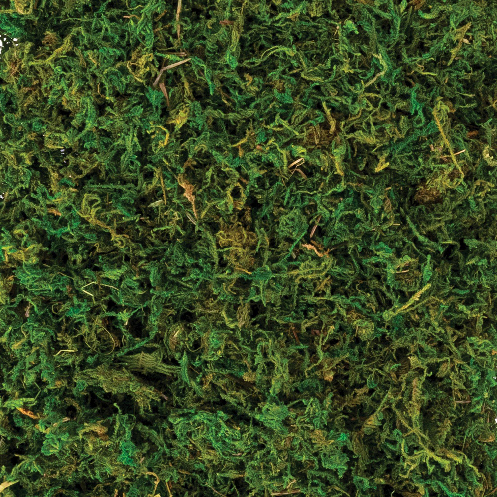 Natural Moss. 4.2oz