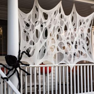 White Fabric Spider Webbing. 3.25ft x 9.8ft