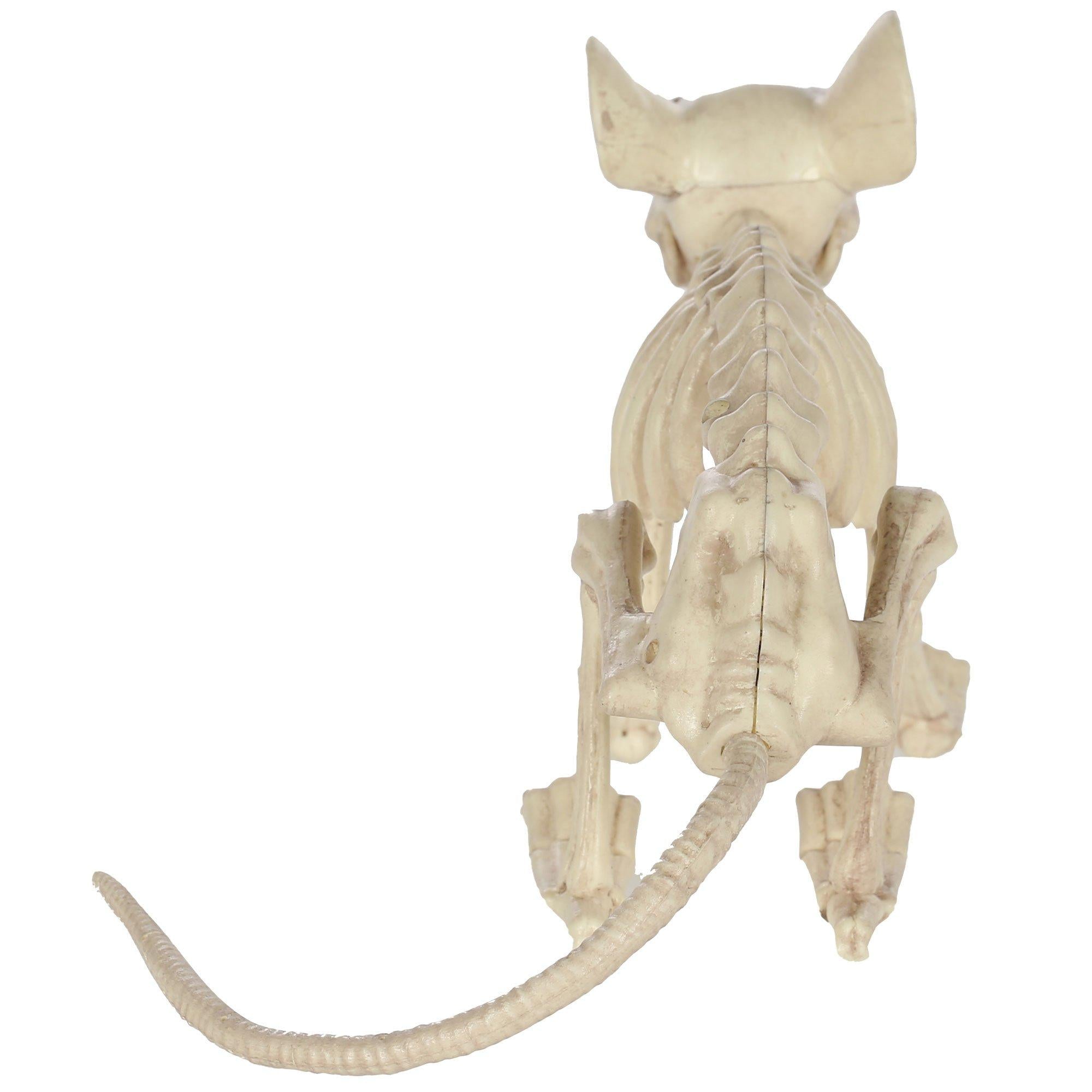 Large Plastic Rat Skeleton. 13.5in x 7in - Image 3