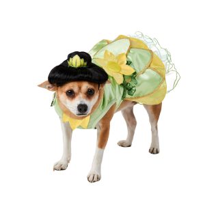 The Princess and The Frog Tiana Pet Costume