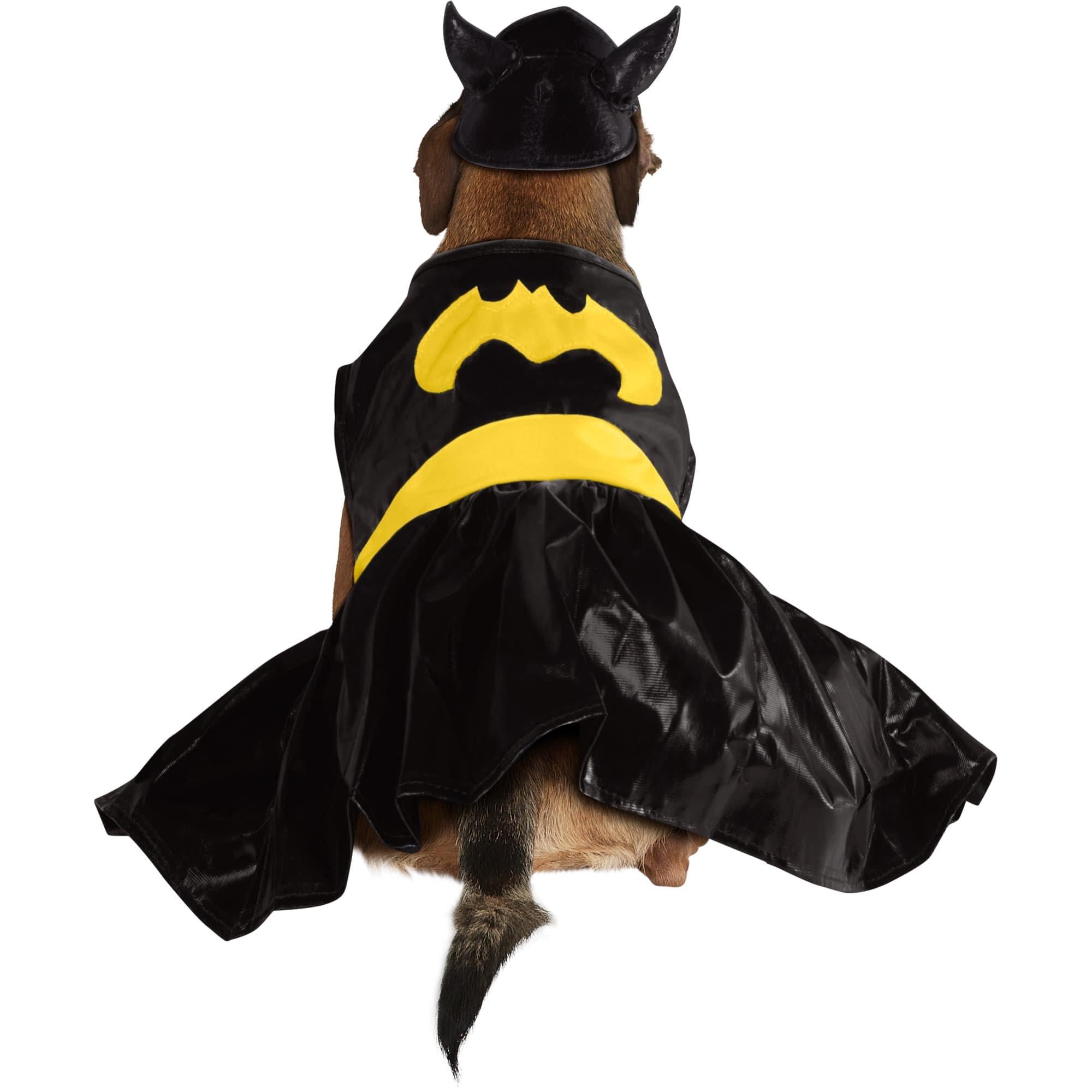 Batgirl Dog Costume - Batman - Image 4
