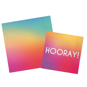 Rainbow Ombre Napkins. 16ct. Assorted Options