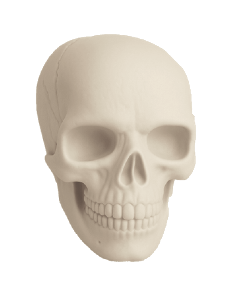 Plastic Skull Decoration. 6.7in - Image 3